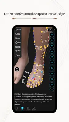 中医经络腧穴 android App screenshot 7